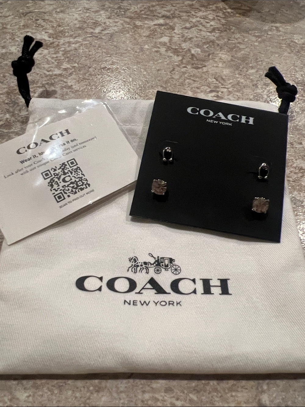 Coach Black and Silver Stud & Hoop Earring Set
